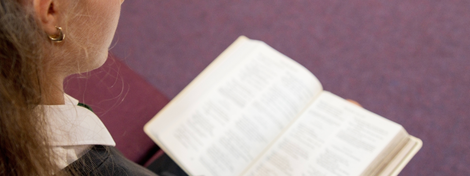 Header Image 1